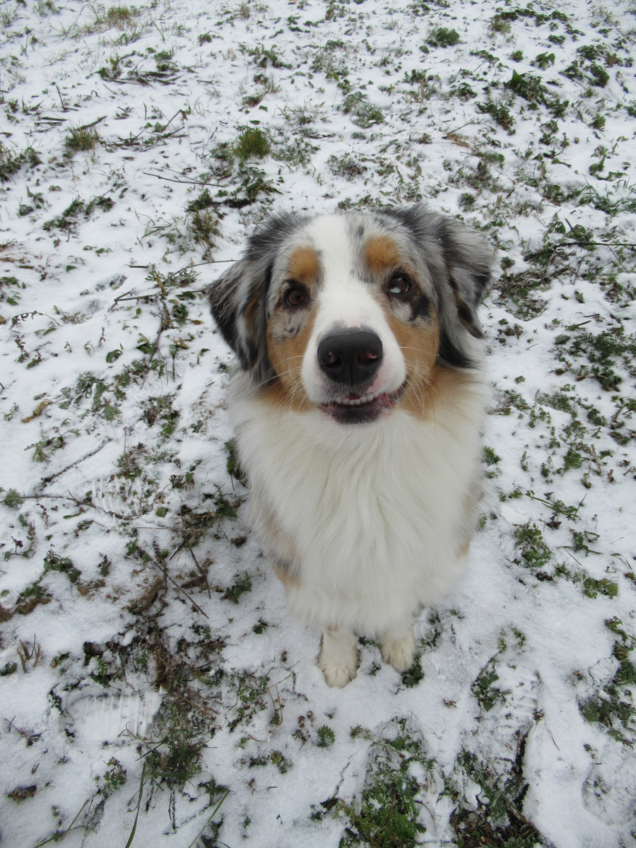 Улыбка графини фон Панталонен