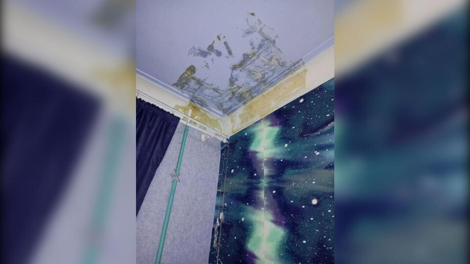     предоставлено собеседницей