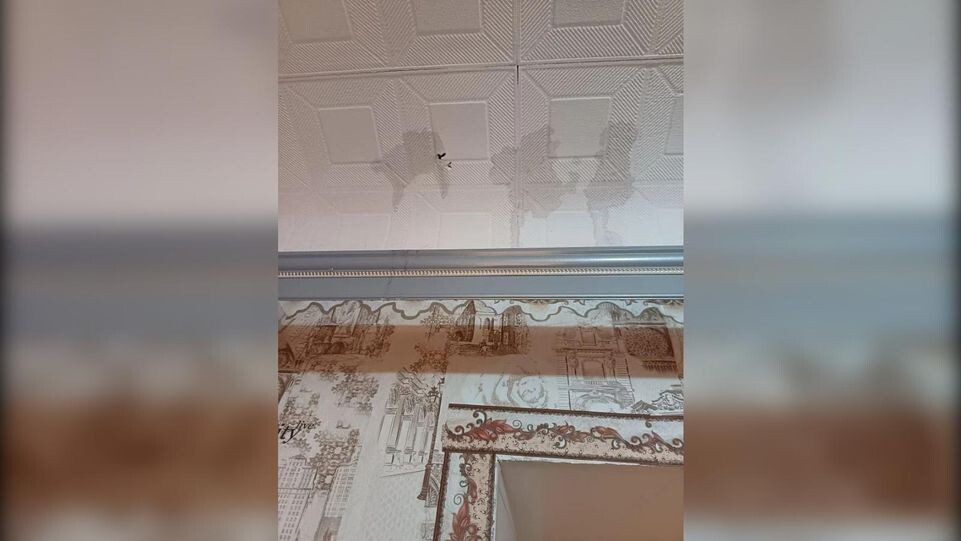     предоставлено собеседницей