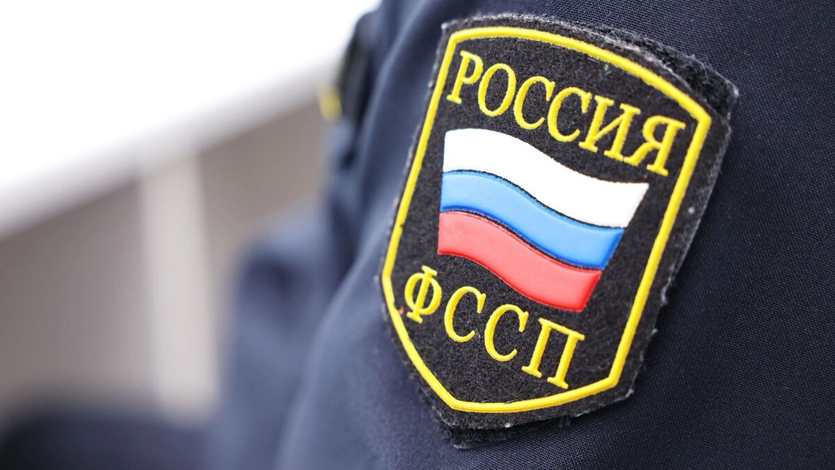    Фото: Андрей Ткачев/«Ямал-Медиа»