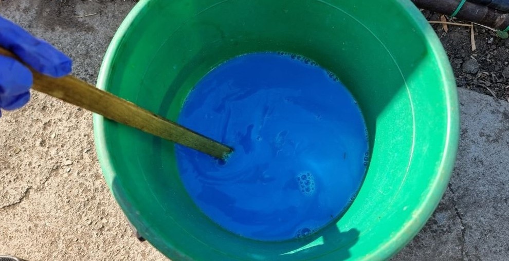 Правильное разведение медного купороса - 100 граммов на 10 литров воды для весенней обработки