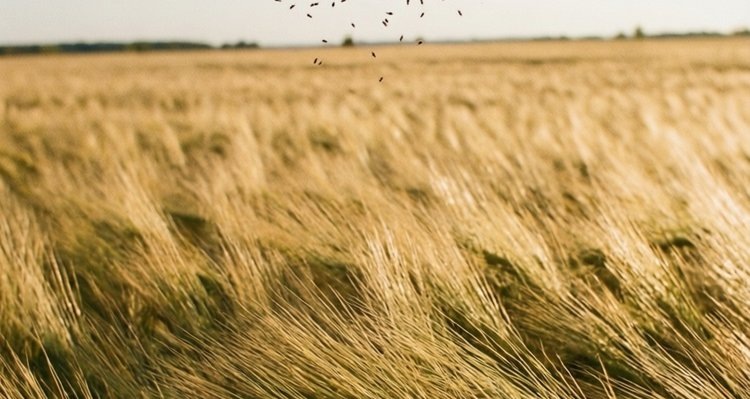    Фото: Медведева Анна, AgroXXI.ru