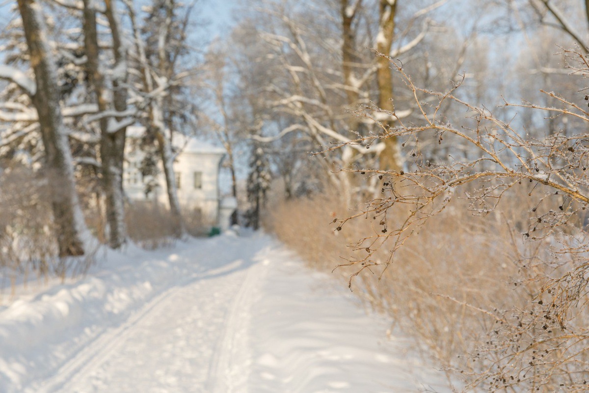 Ясная Поляна зимой прекрасна и ждет Вас в гости. Фото с телеграм-канала Музея-усадьбы Л.Н. Толстого 