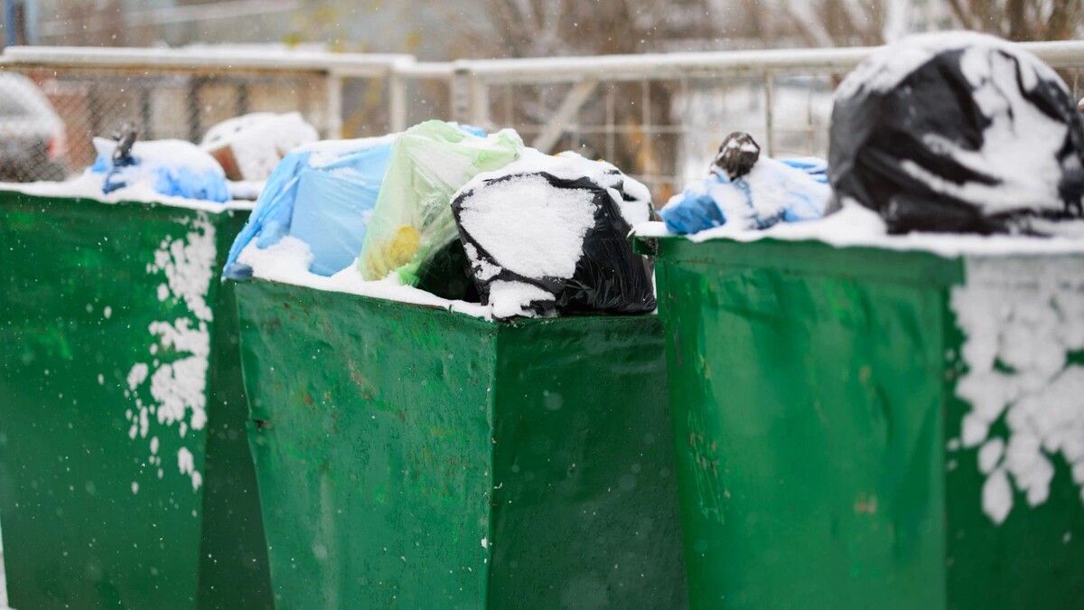    Фото: Юлия Чудинова/«Ямал-Медиа»