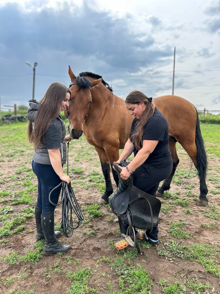 Ветеринарный врач команды «Гиппус Вет» Инга Сухоева осматривает седло.