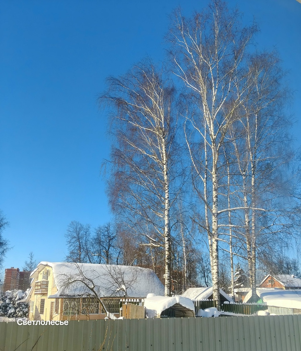 Вид из окна на нашу деревню)