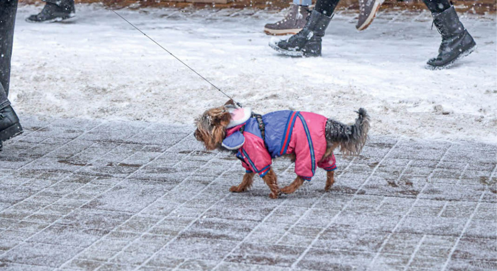 Фото: Михаил Гладчук