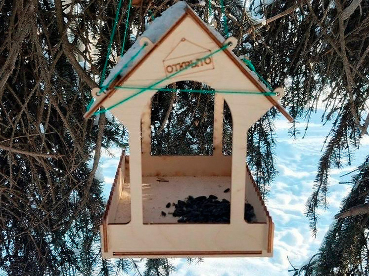     фото: Официальный телеграм-канал администрации города Липецка