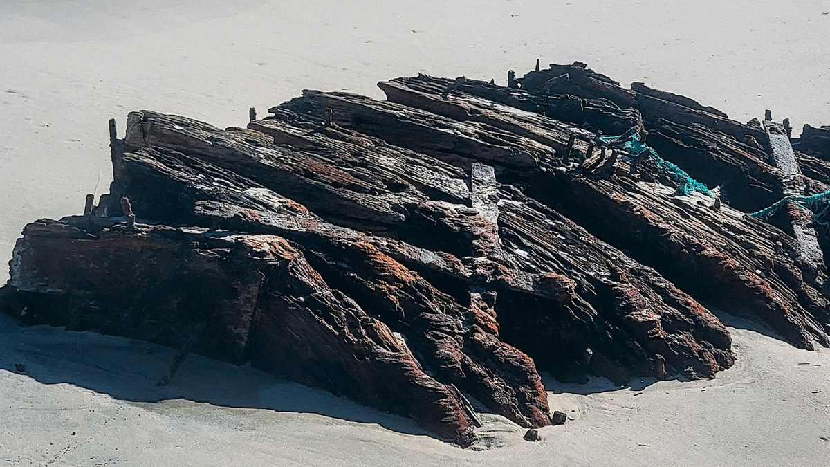    Фото: Island Beach State Park В результате серии мощных зимних штормов на побережье штата Нью-Джерси оказались останки деревянной шхуны, почти полтора столетия пролежавшей под толщей песка и морских отложений.