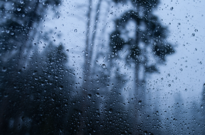    wirestock / ru.freepik.com