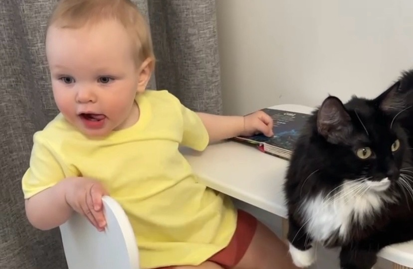 Рождение ребёнка - не повод расставаться с домашним питомцем