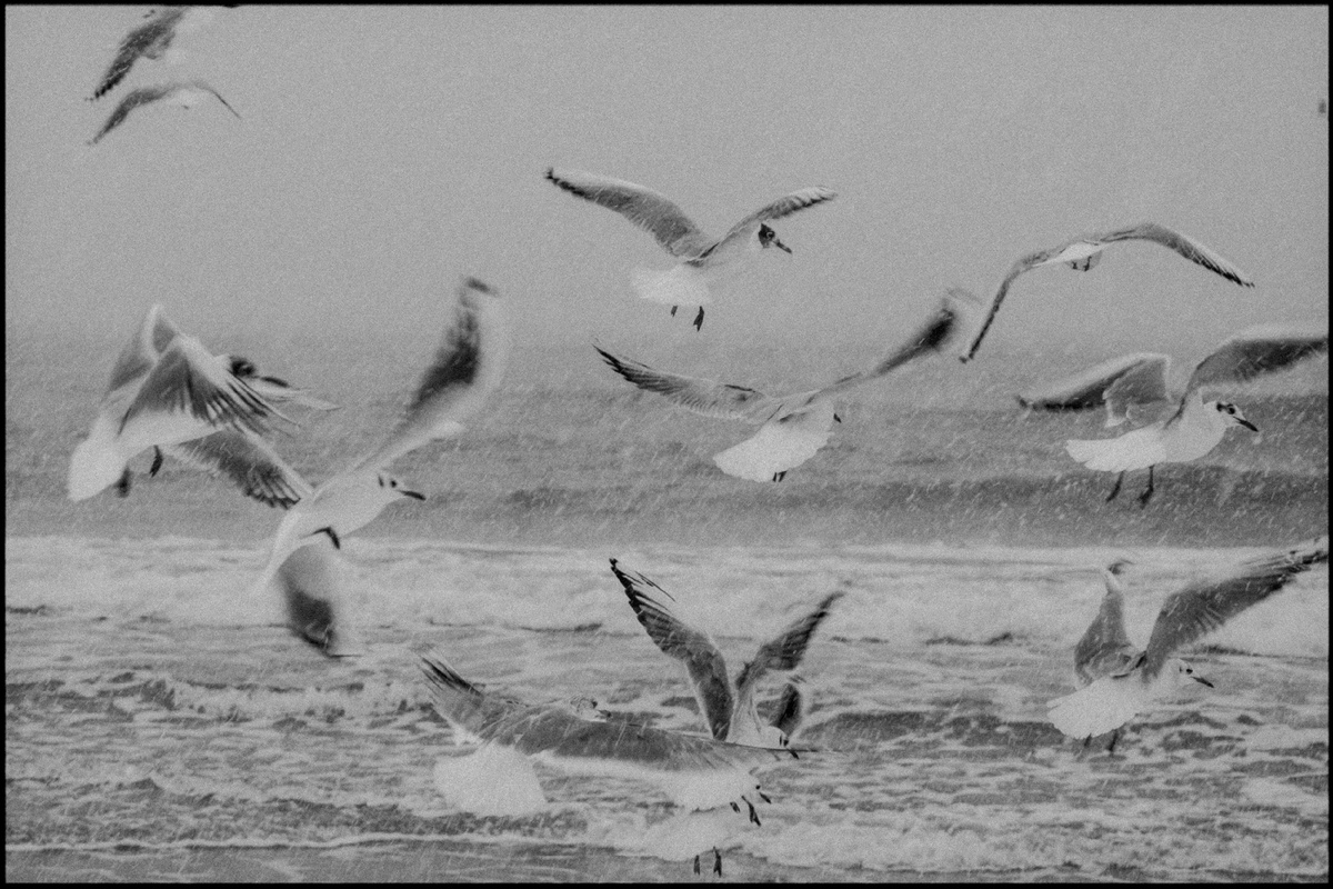 Пионерский. Калининградская область. Фото: Михаил Рябинин
