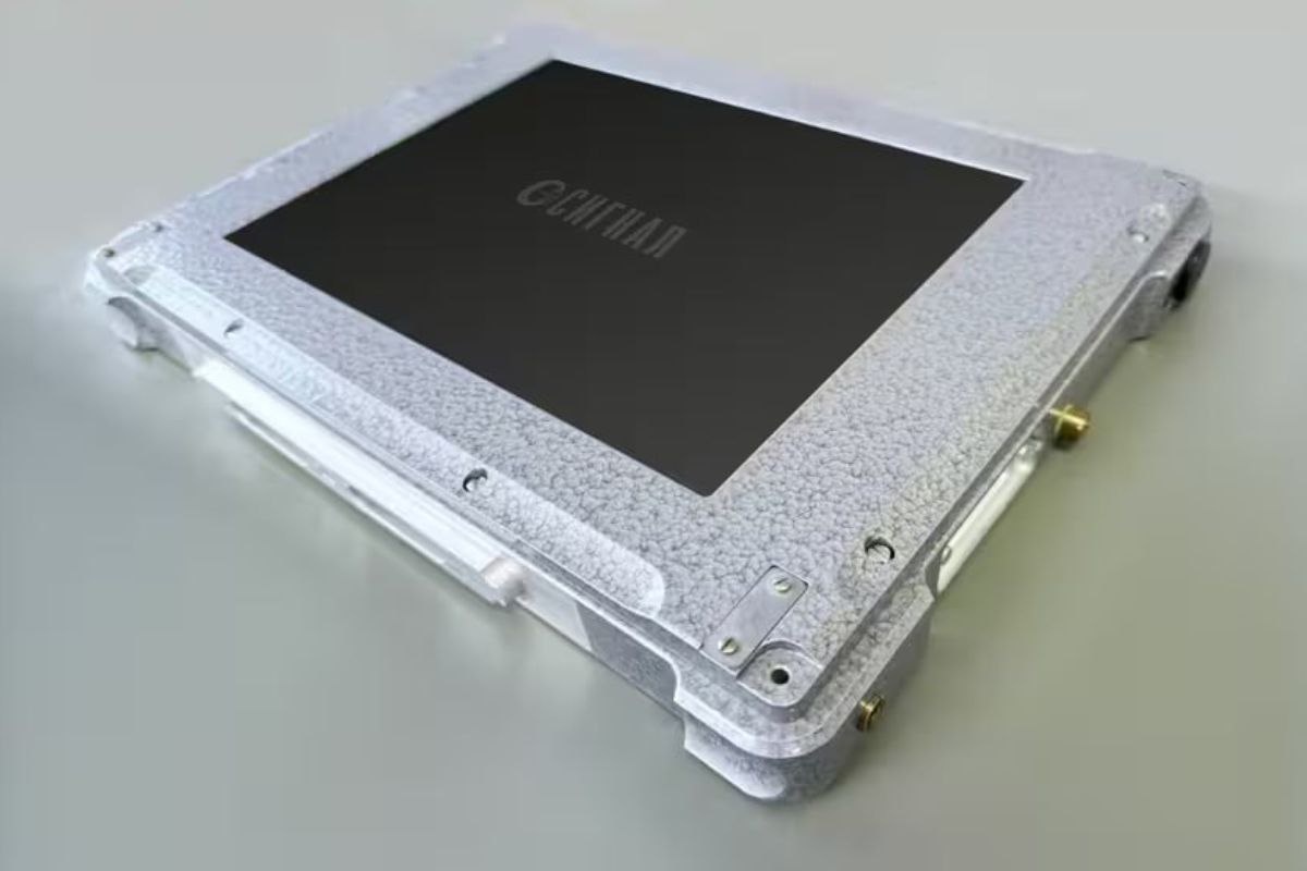    Фото: «Росэл»