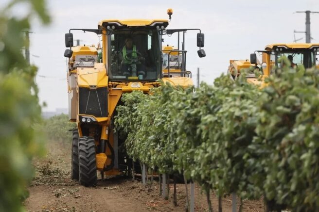    admkrai.krasnodar.ru