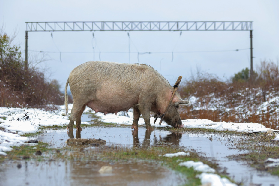    Сергей Петров/NEWS.ru