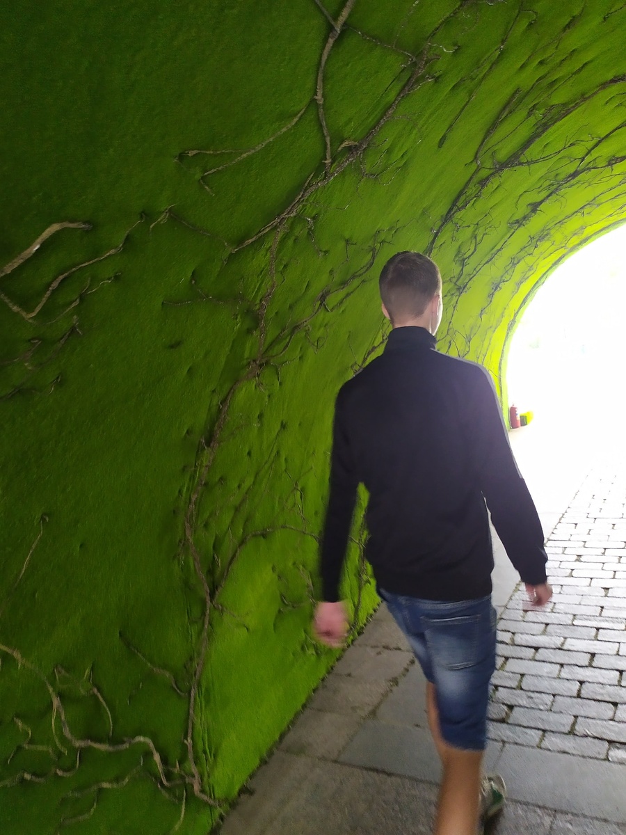 Мой сын. Вообще я считаю, что поступать надо только на бюджет. Если не хватило ума сдать ЕГЭ, как ты будешь учиться в вузе?