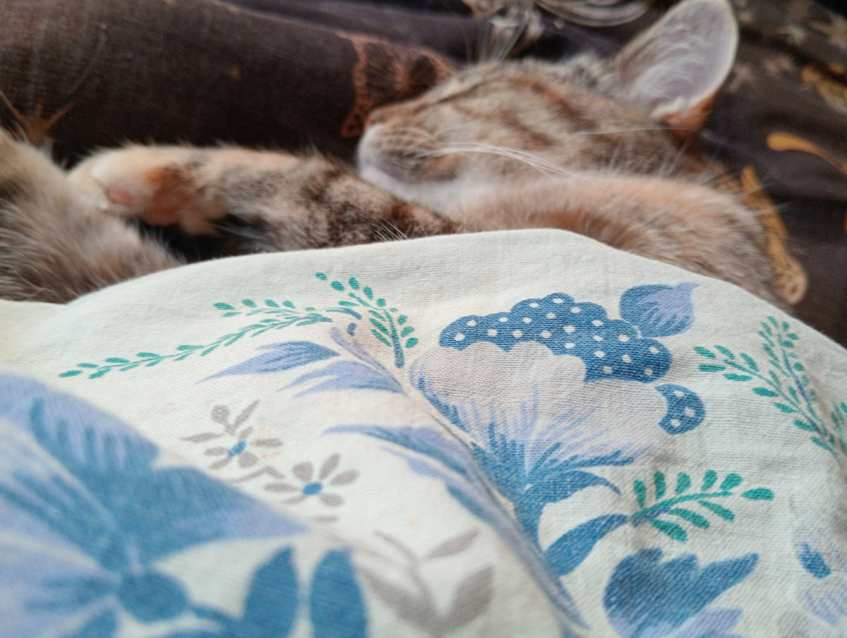 Из под одеяла не хочется вылезать!