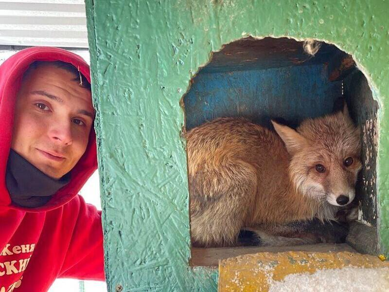 © Фото: t.me/siberian_zoo