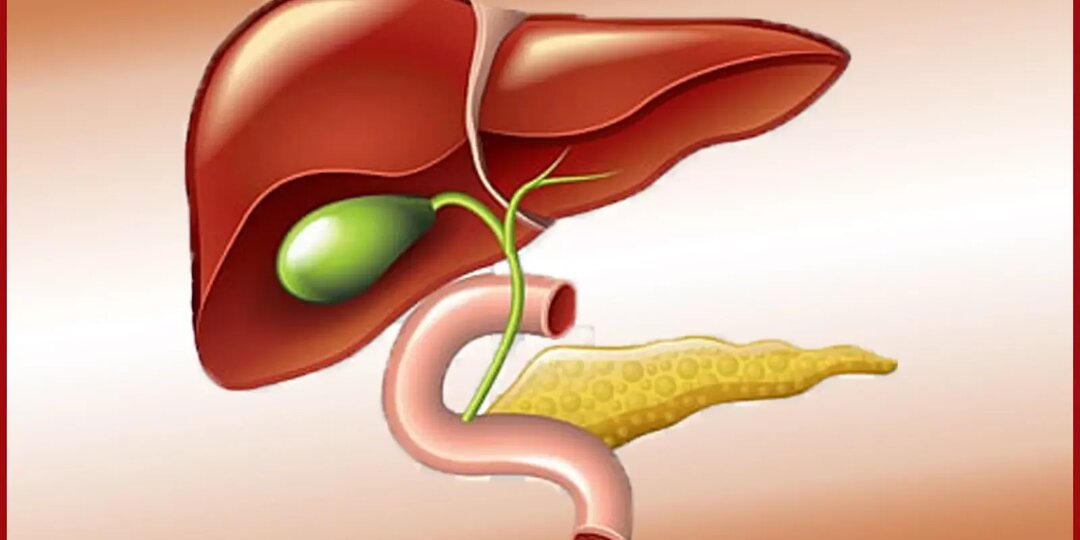 Желчный пузырь под нож: что на самом деле происходит, когда его удаляют и стоит ли этого бояться?