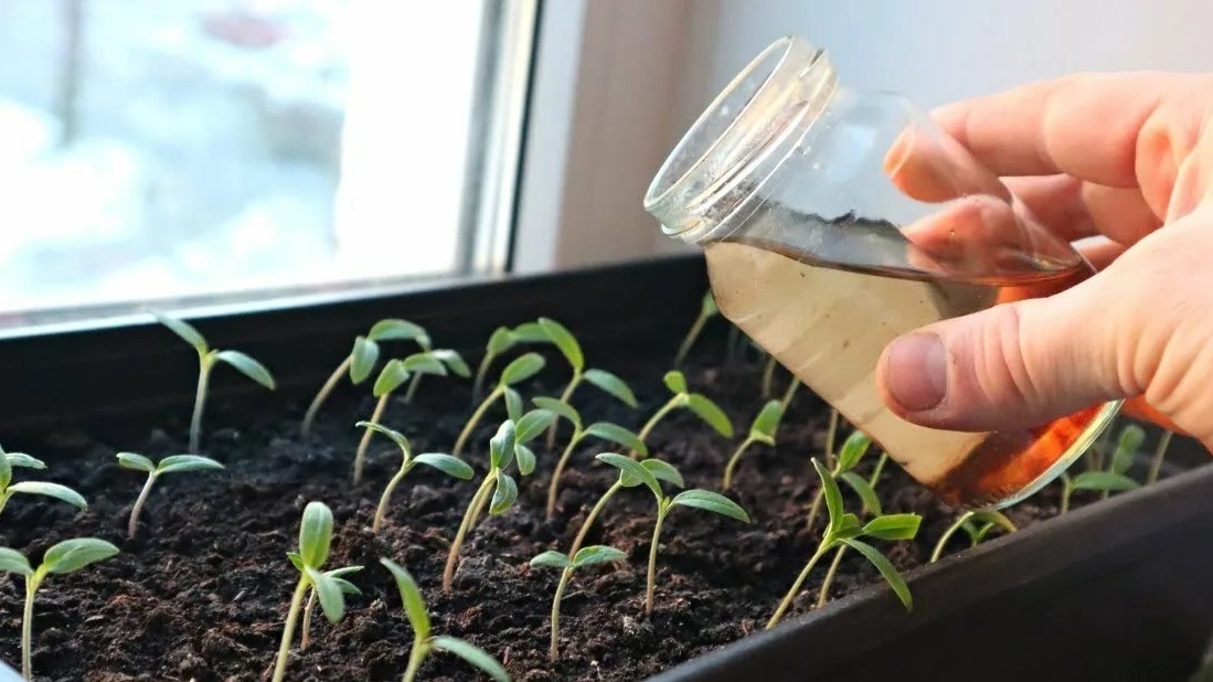 Контроль температуры воды - основа методики