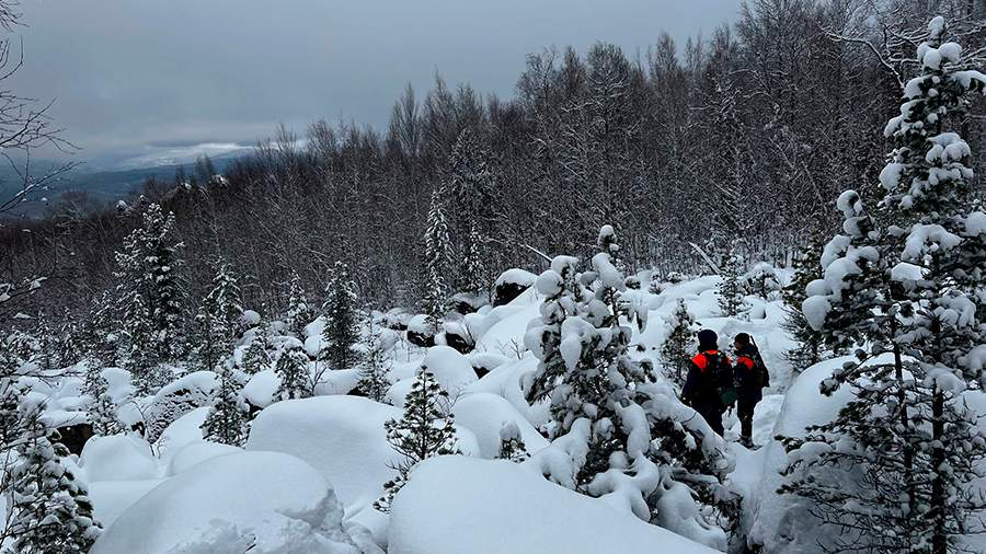 Фото: vk.com/поисковый отряд «ЛизаАлерт» Красноярского края