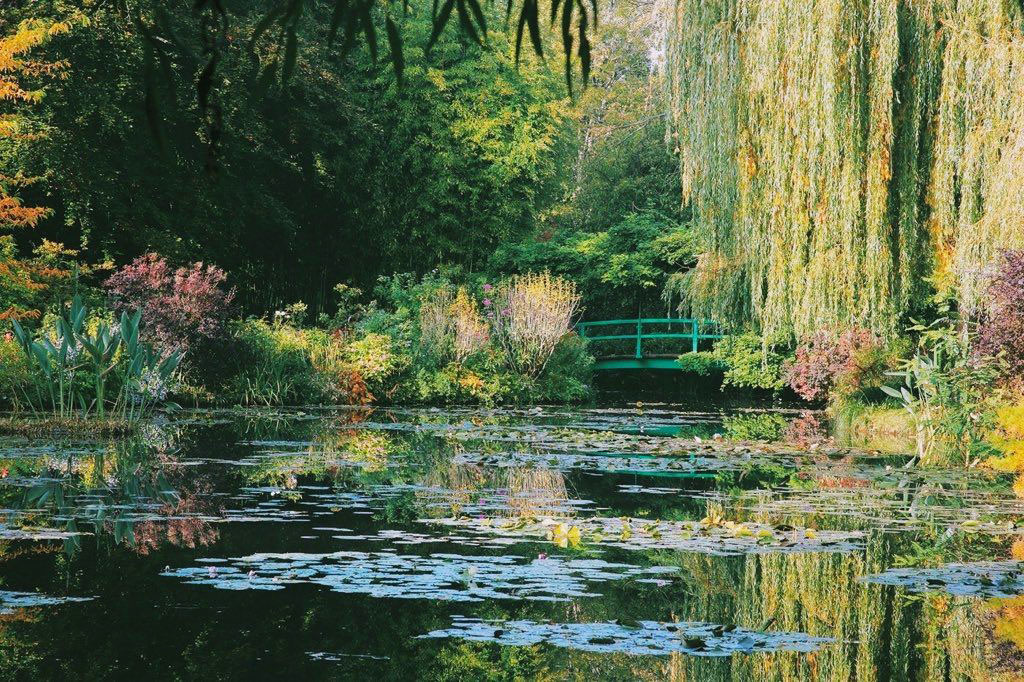 Сад в Живерни - настоящая галерея света Клода Моне