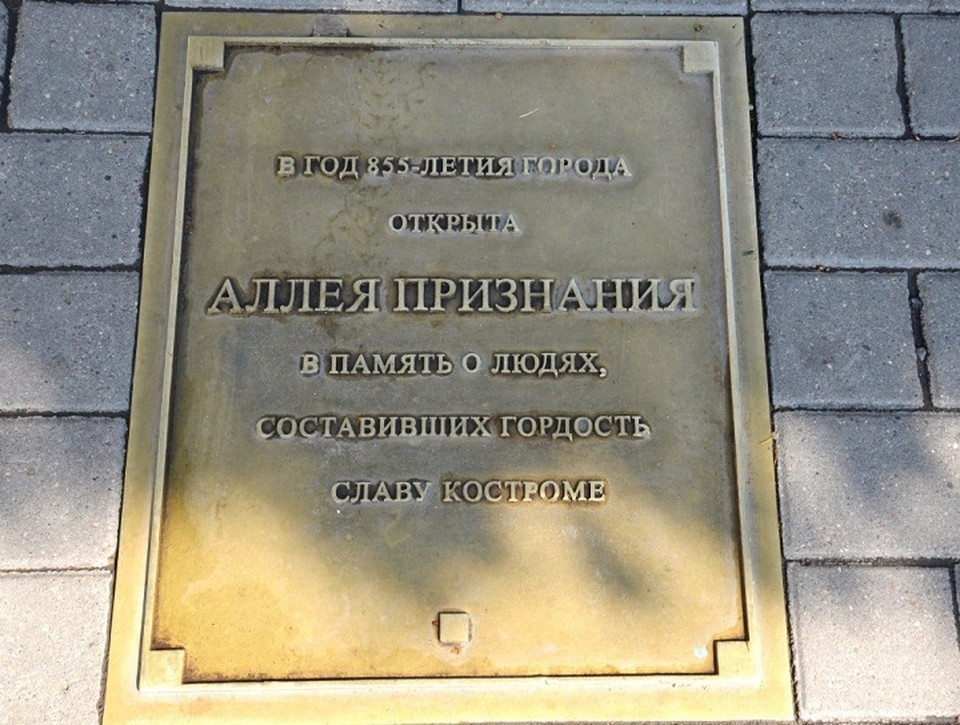    Костромичи должны выбрать новое имя для Аллеи Признания. ФОТО: администрация Костромы