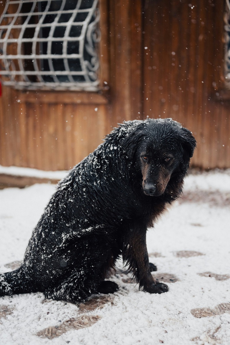    Фото несет иллюстративный характер
