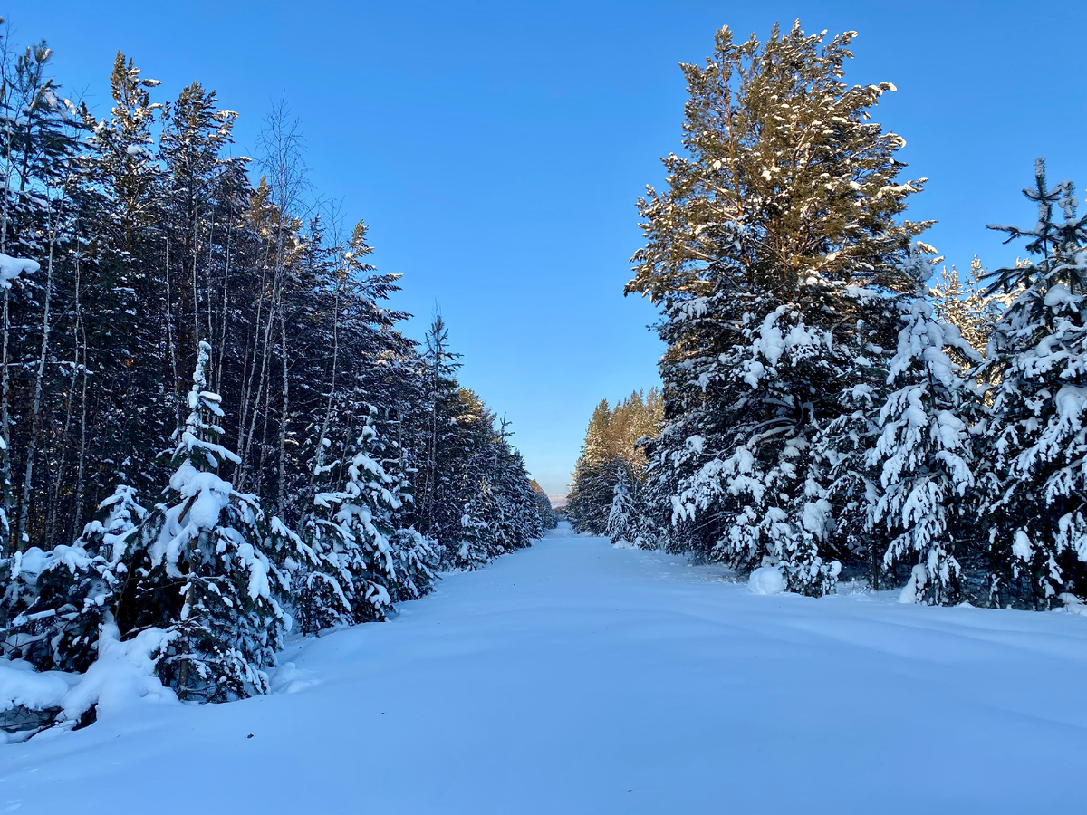 Разве не прекрасная иллюстрация к жизненному пути? Где-то в глубине Иркутской области.