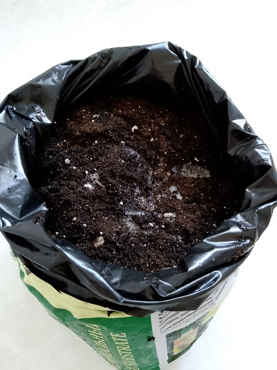 Покупаю грунт объёмом 10 литров и отправляю в морозилку