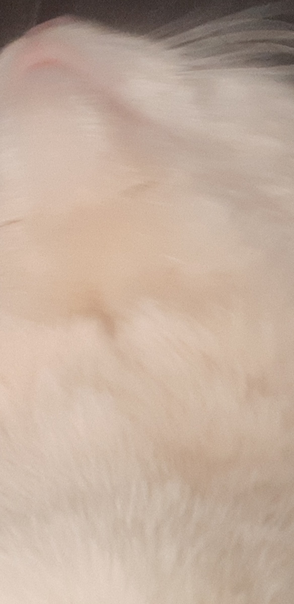  Здравствуйте, ребята! Слушайте Пионерскую Зорьку! 