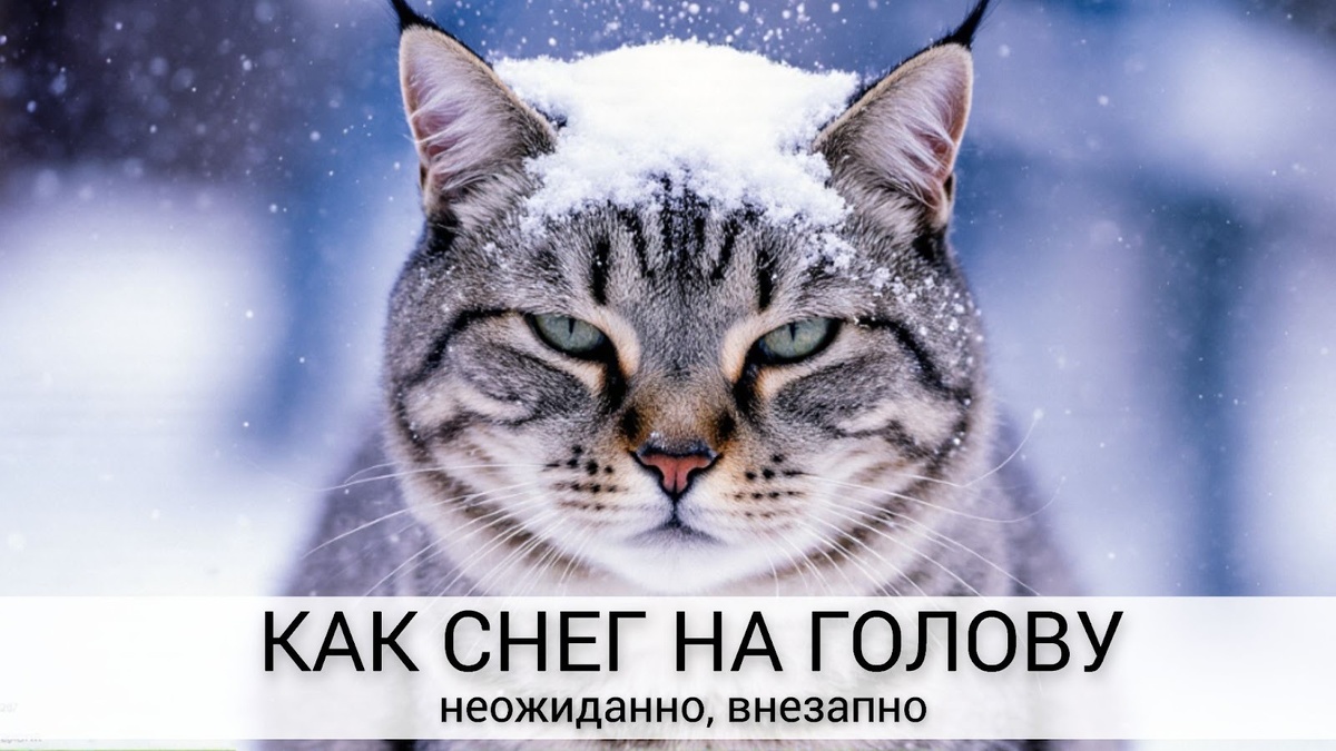 фото от Freepik