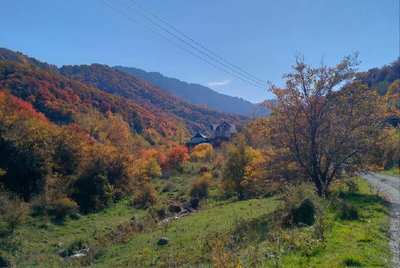     Фото: Бриф 24