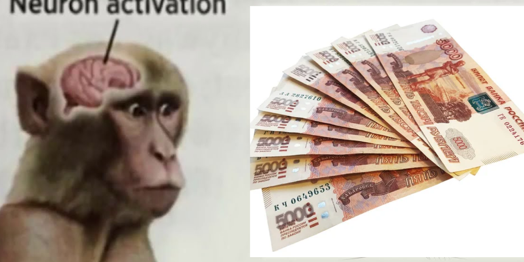 Нейронаука для руководителя: как перезагрузить «прошивку» команды, не меняя людей