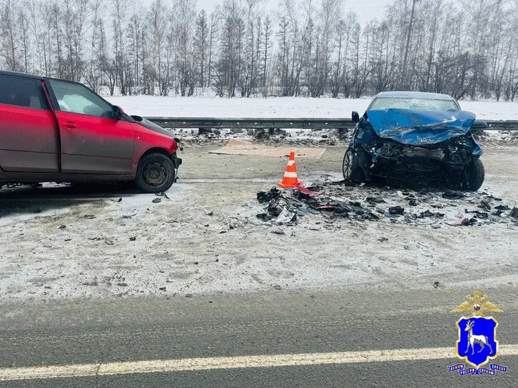    Фото: ГУ МВД России по Самарской области