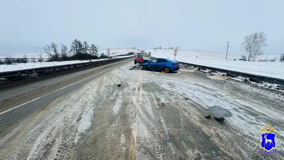     Фото: ГУ МВД России по Самарской области