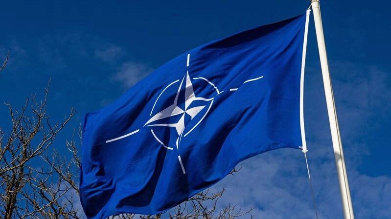    Фото: Jeppe Gustafsson/Shutterstock/Fotodom