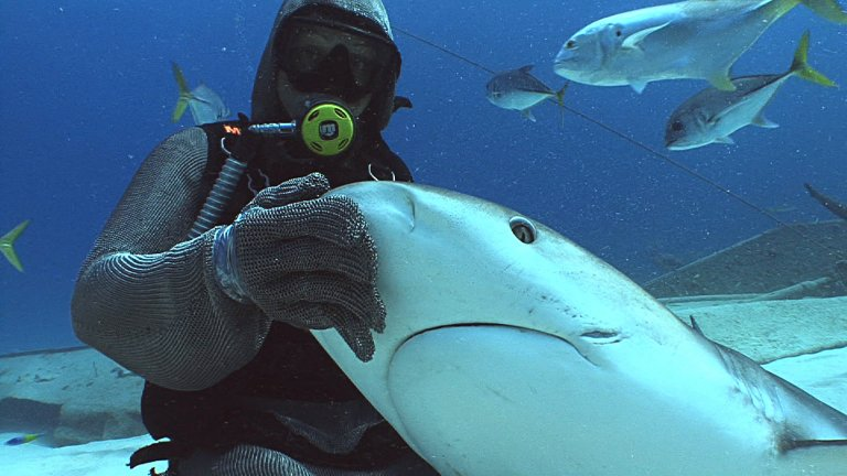 Сегодня акулы узнают ее, прижимаются, будто обнимают, и не уплывают. Она стала их спасением, а они - ее смыслом.