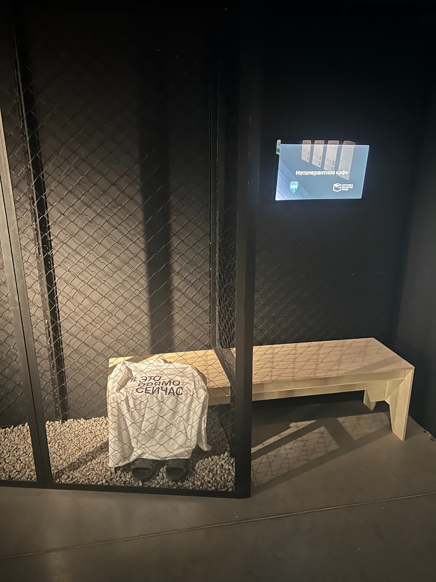 Это инстация, как осознавание того, что  в один момент все может поменяться. Скамья, как символ жизни, которая может перейти в другую форму, где уже решетки на окнах, казенная одежда, резиновые сланцы. И диагноз - недееспособность.