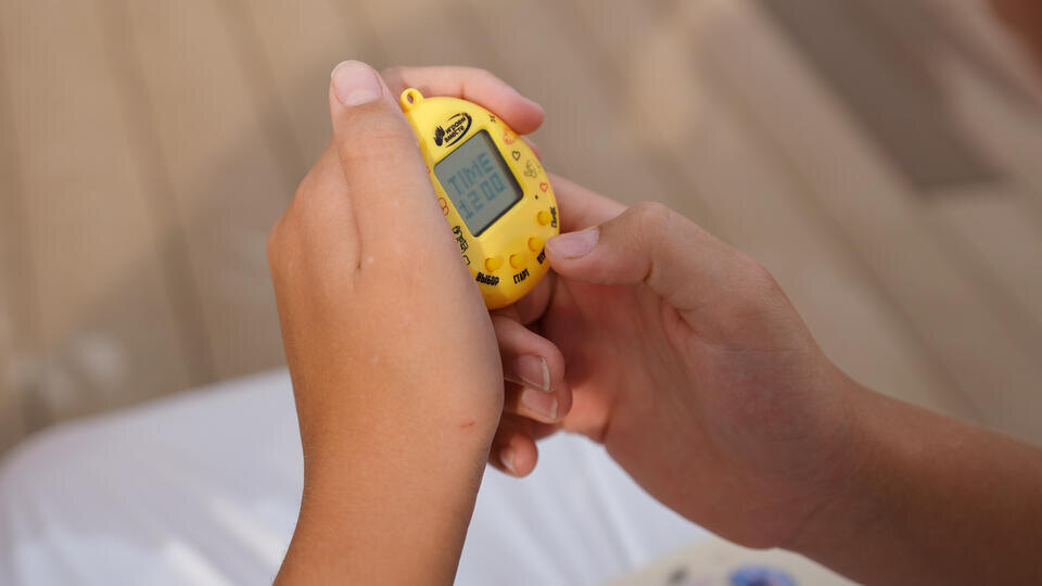 Фото: © ИЗВЕСТИЯ/Анна Селина