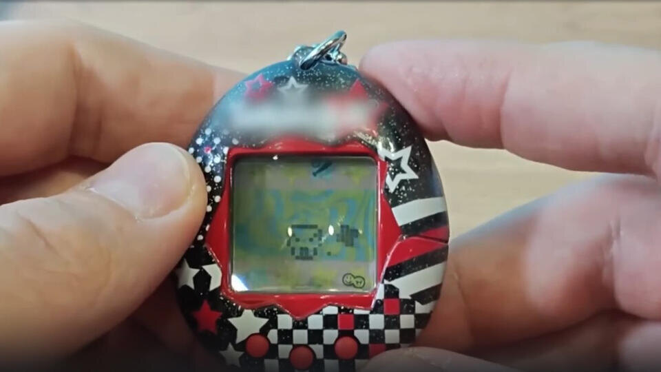 ФОТО: Кадр из программы "Как устроен мир", РЕН ТВ