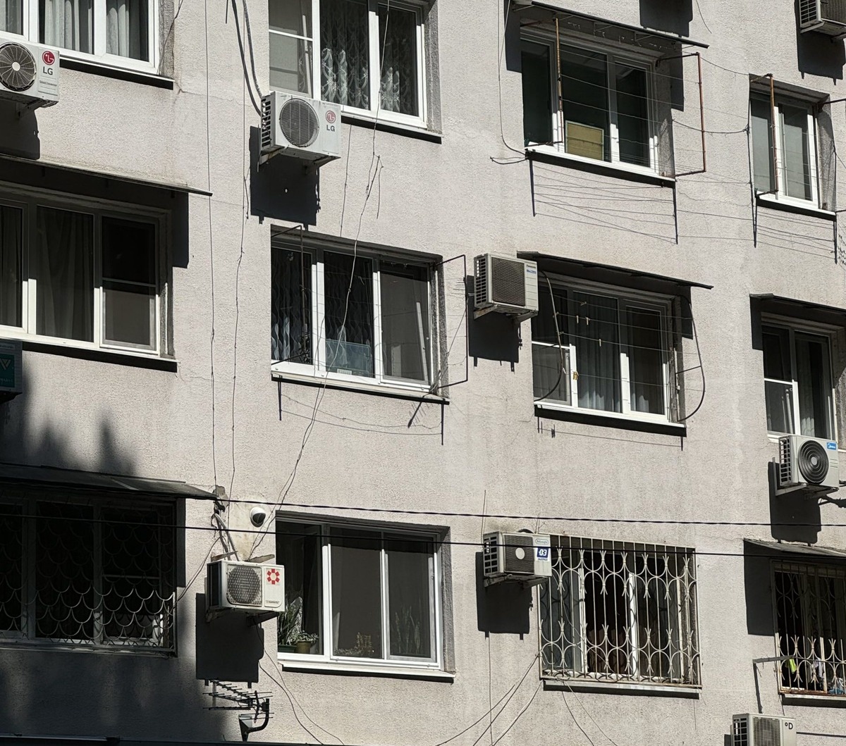 фото: Сочи 24  📷
