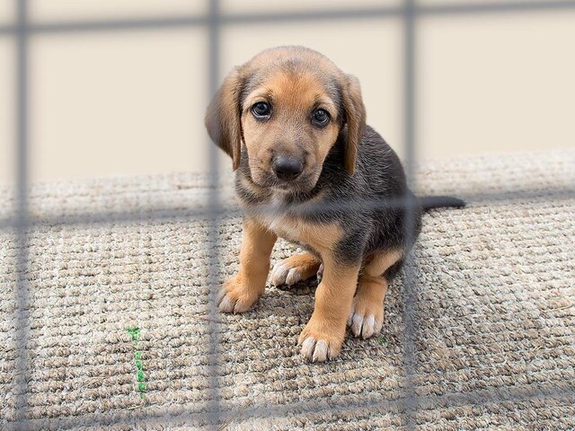    Фото: depositphotos/cunaplus