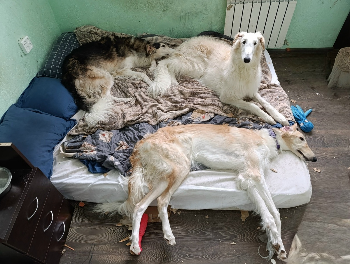 Даже место для человека оставили. Доообрые