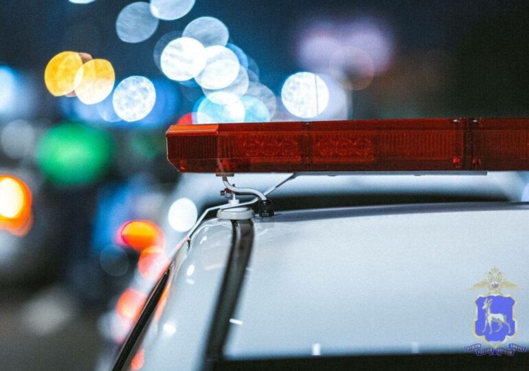 Фото предоставлено ГУ МВД по Самарской области 