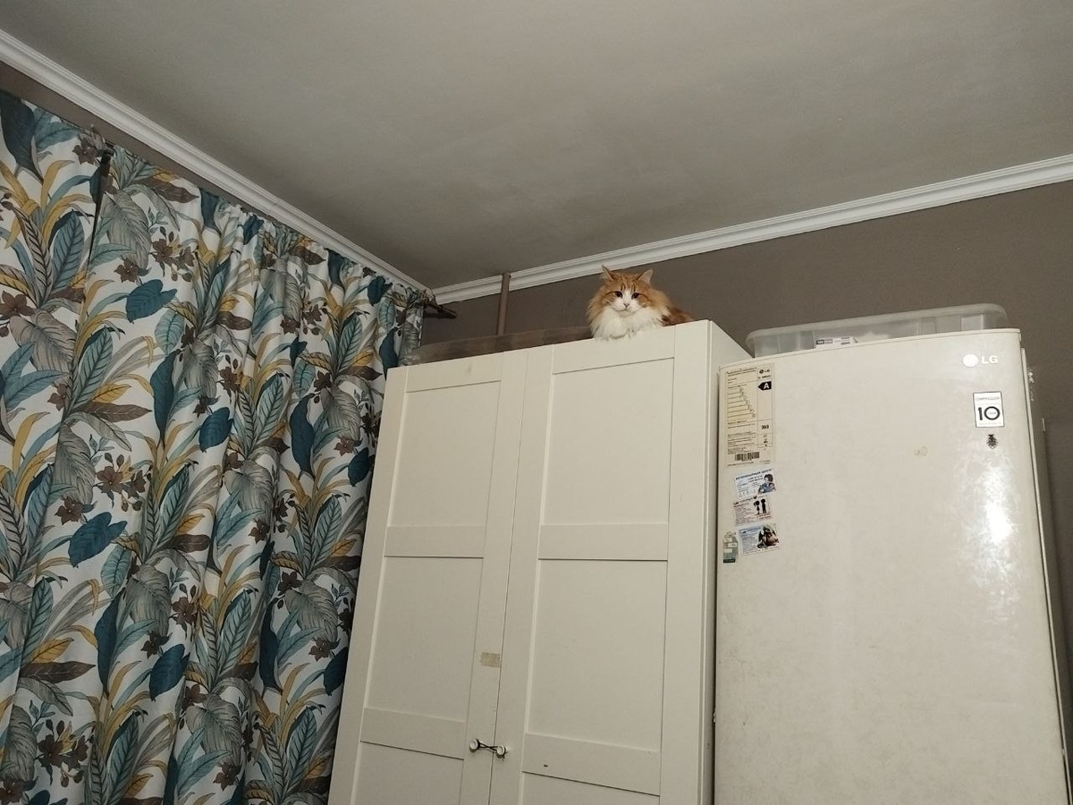 Ага попозирую. Ждите!