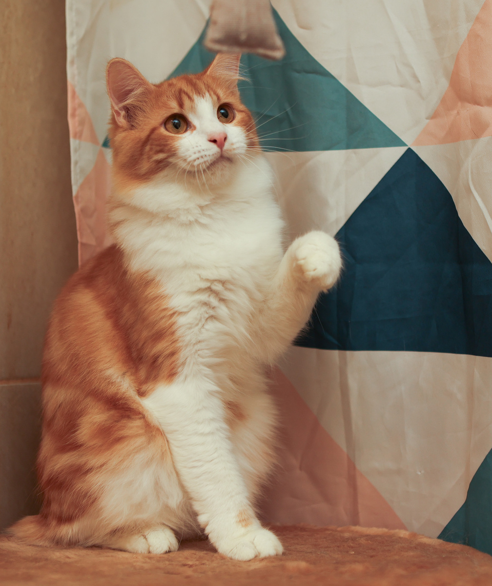 А когда-то я позировал