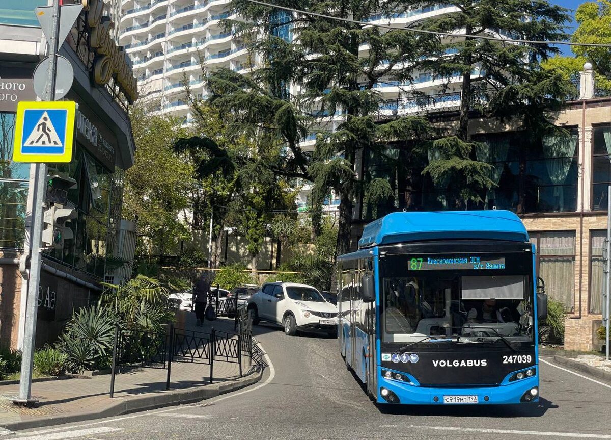 Фото: пресс-служба Департамента транспорта и дорожного хозяйства Сочи  📷

