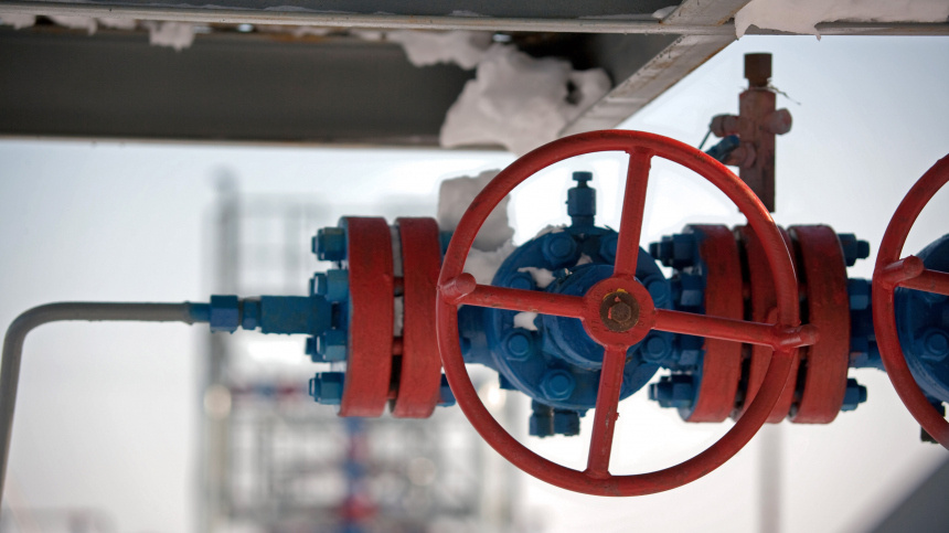    Фото: ИЗВЕСТИЯ/Алексей Белянчев