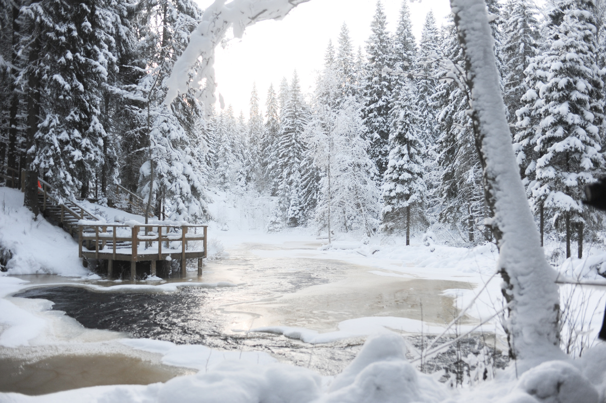 Пейзаж зимней Карелии